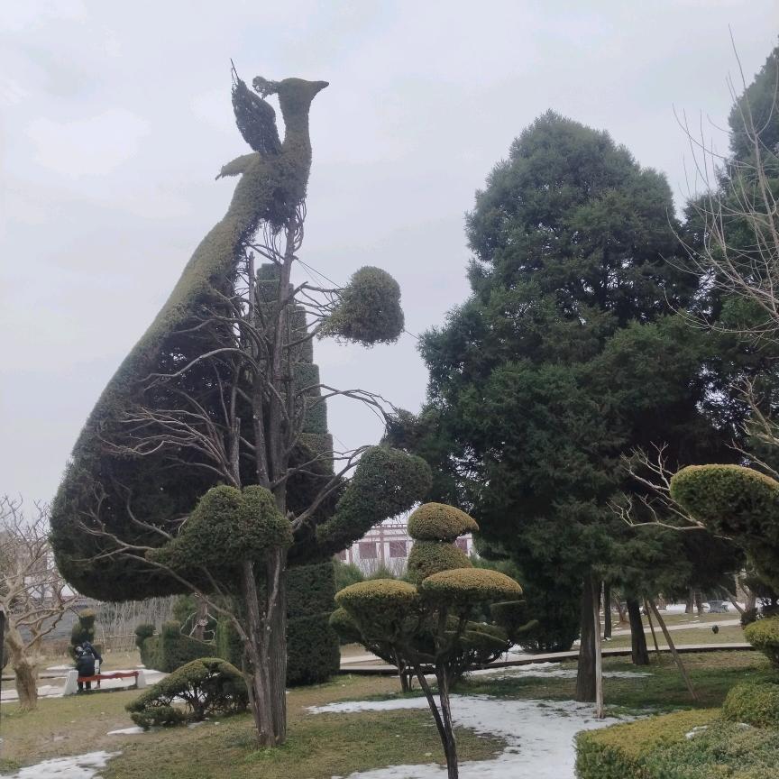 十一
