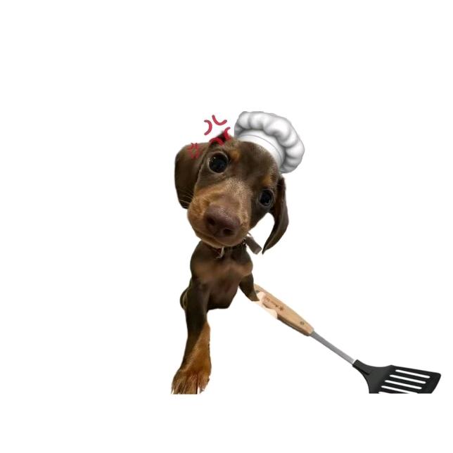 可可