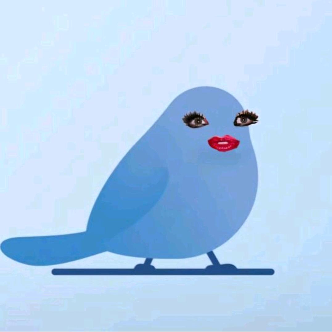 ♛小鸟爱上2025♛