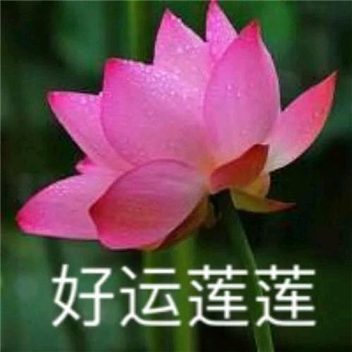 开心👫快乐