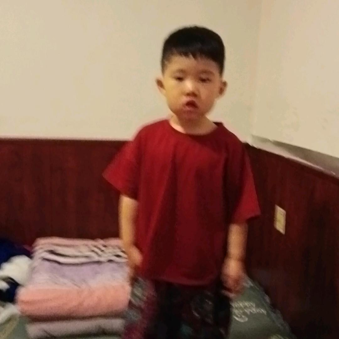 胖敦敦的小熊