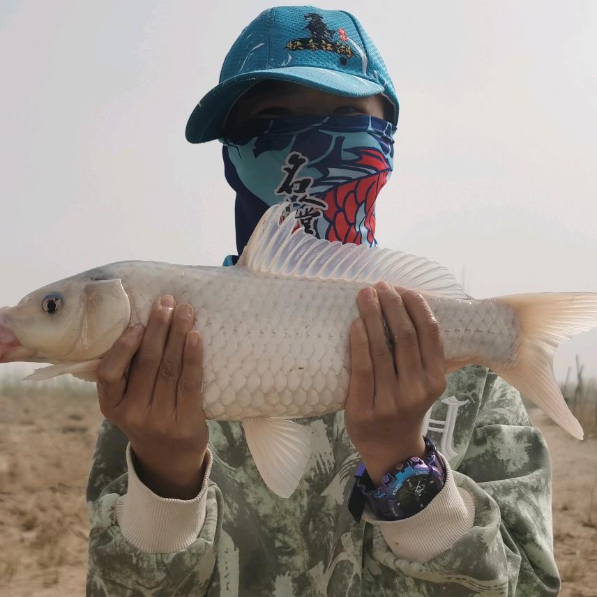 大美新疆钓鱼人