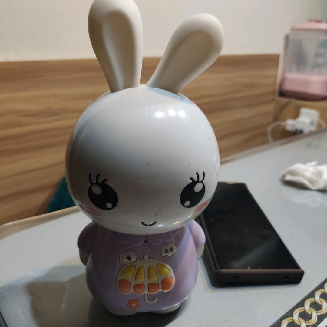 冬枣（南七）
