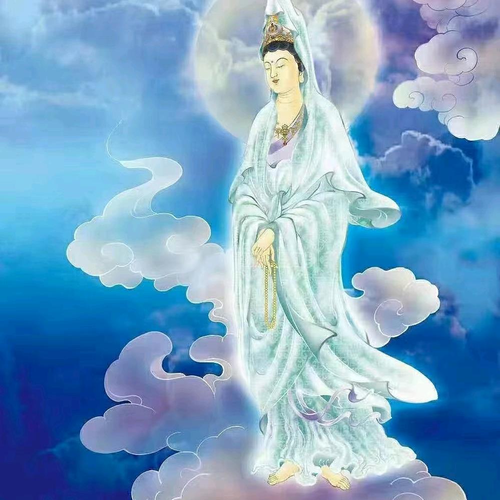 妙琴