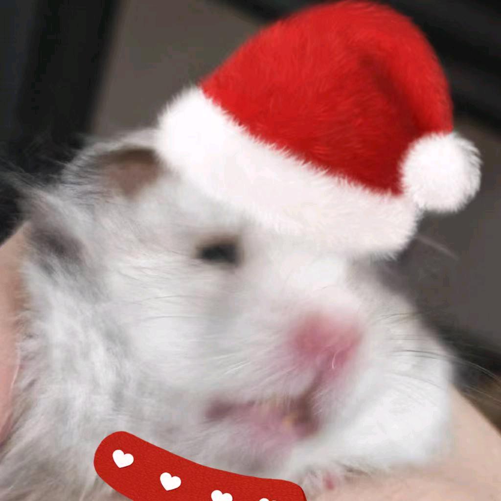 𝓛𝓮𝓽 𝓲𝓽 𝓫𝓮