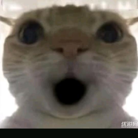 重生之我在三角洲跑刀