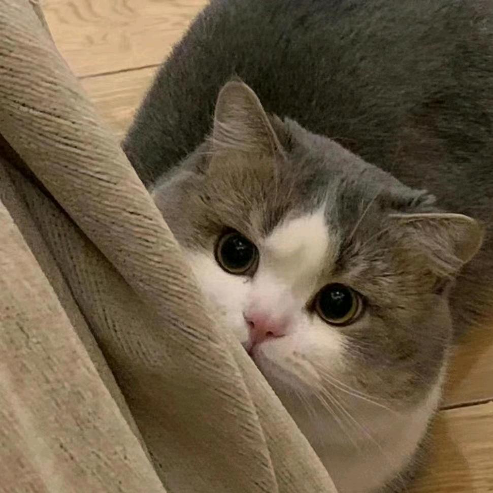 栗净