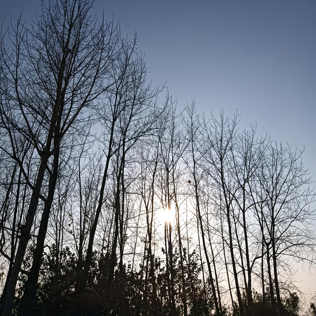 田哥