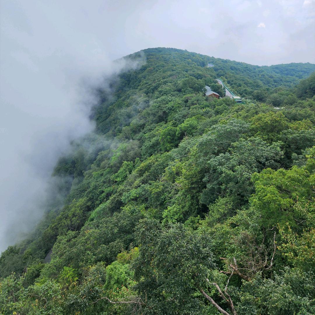 未来可期.相信自己