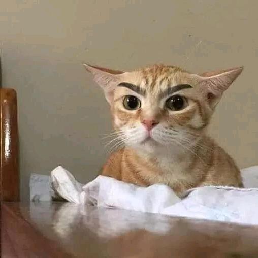 鱼青