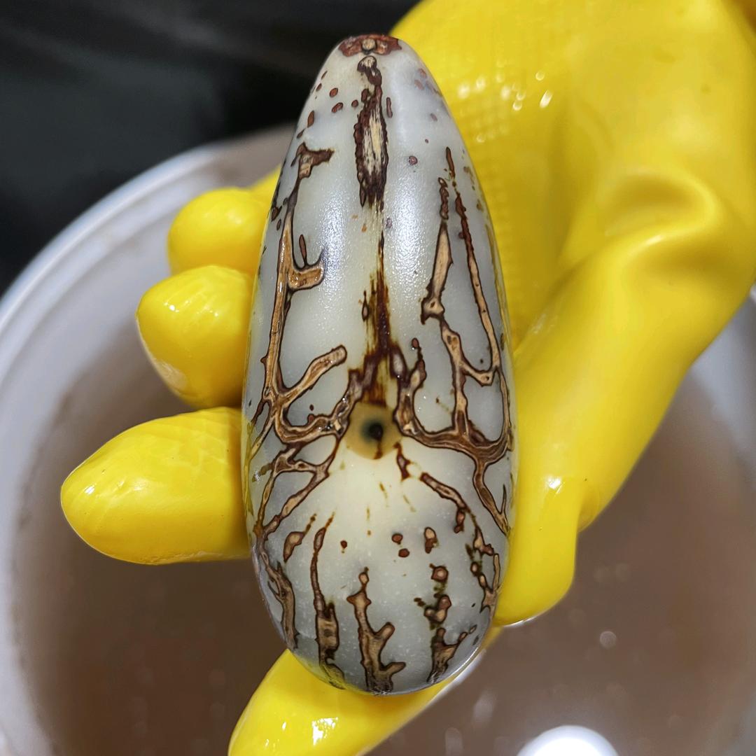摘颗果果