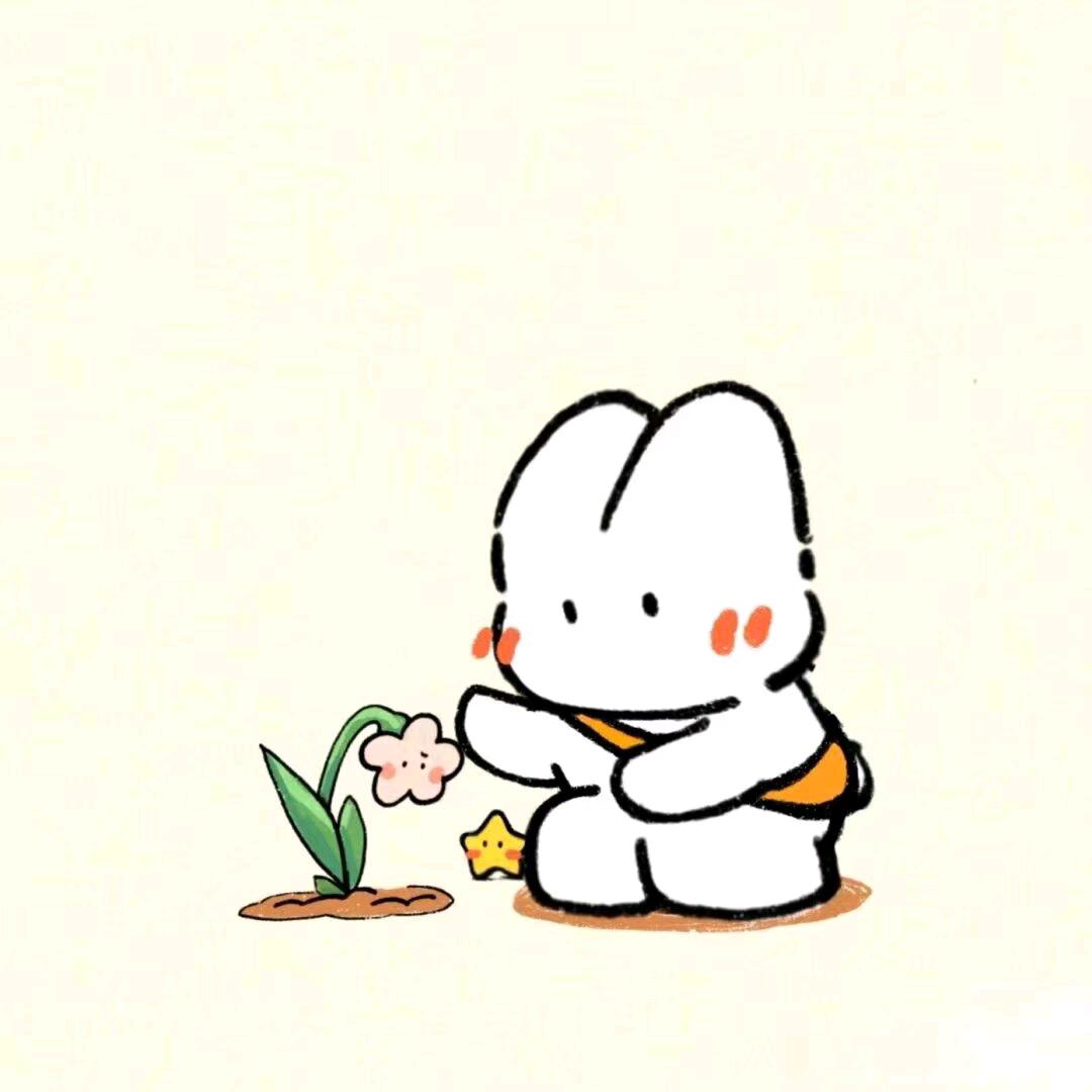 星星在德惠……✨