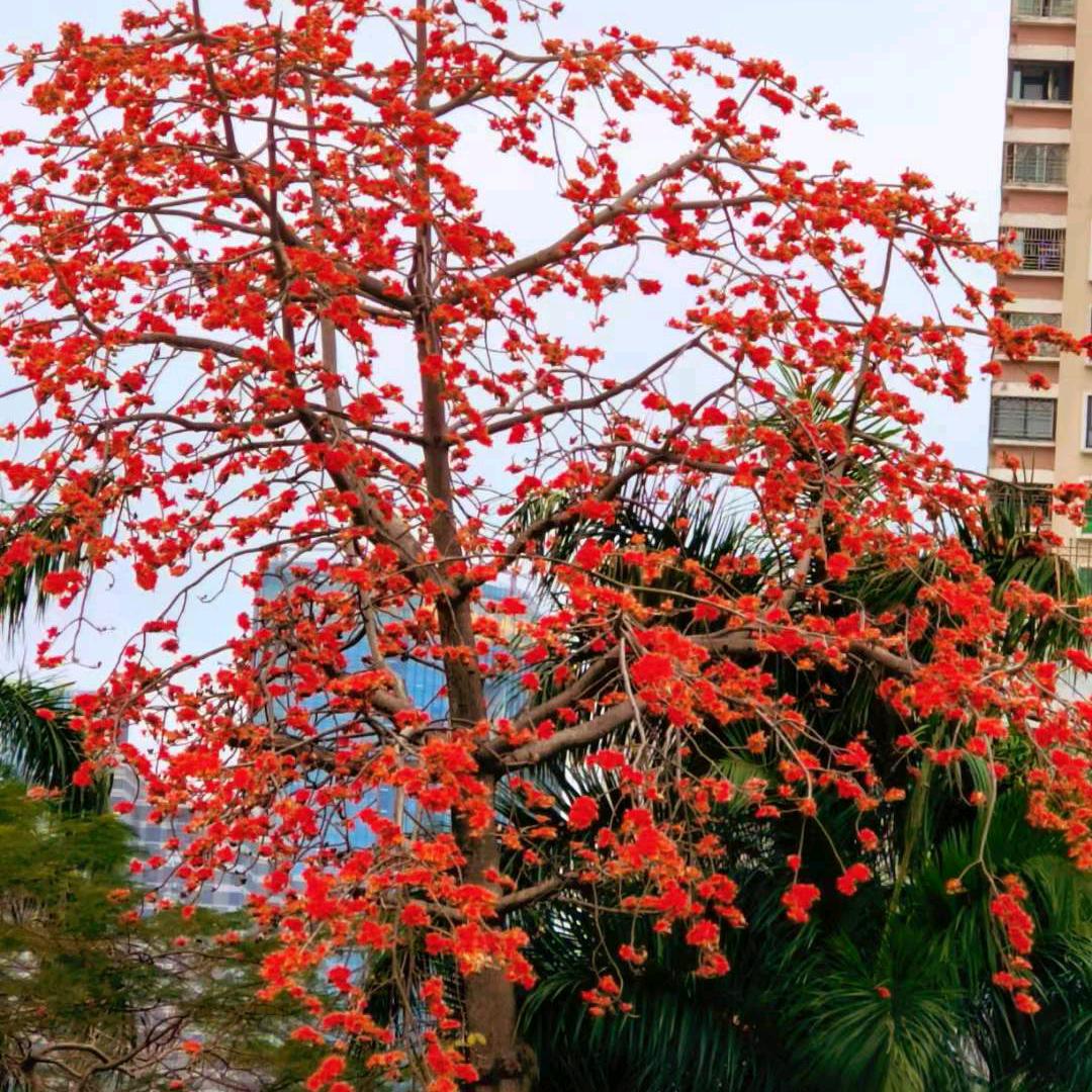 岁月静好