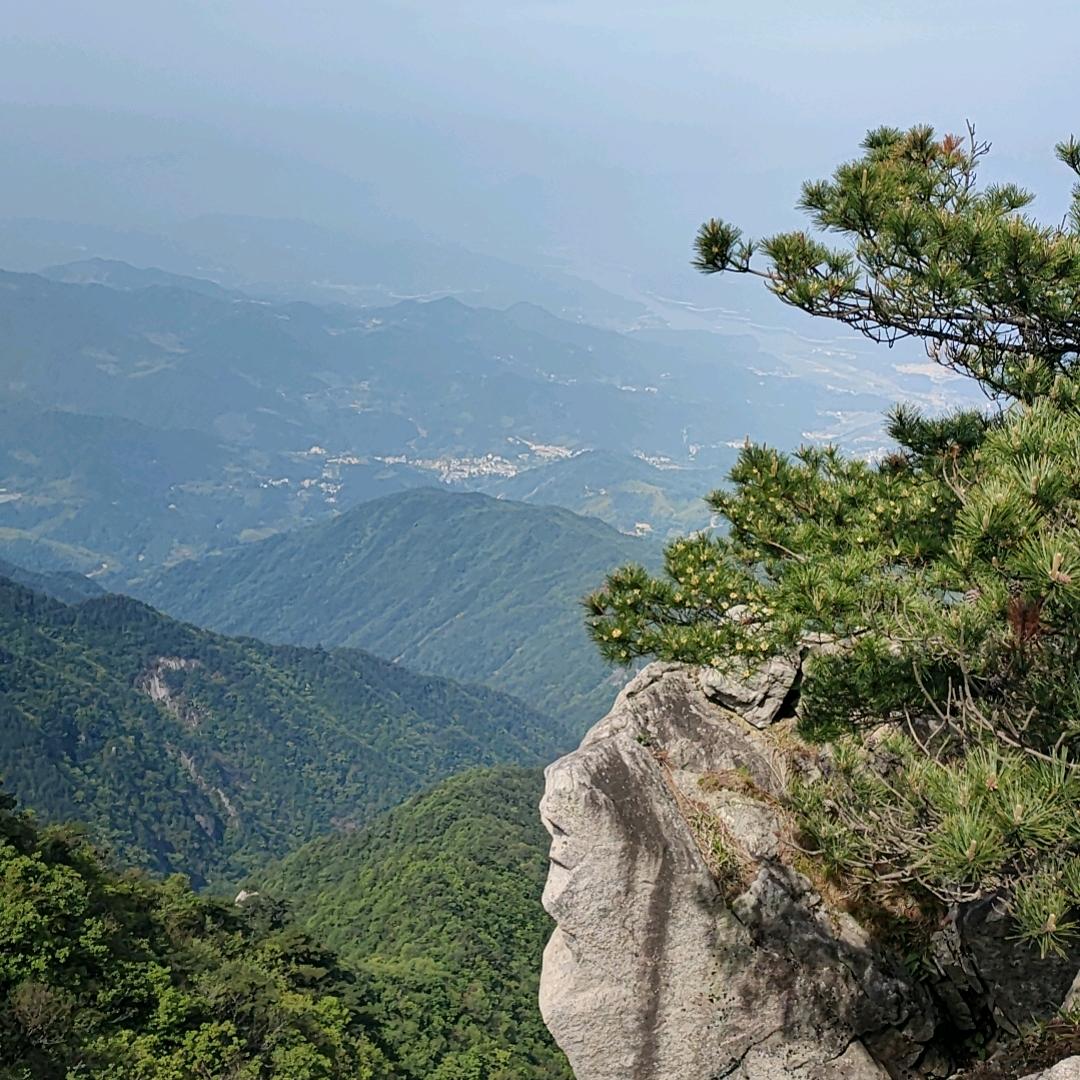 我姓庞却不在你身旁