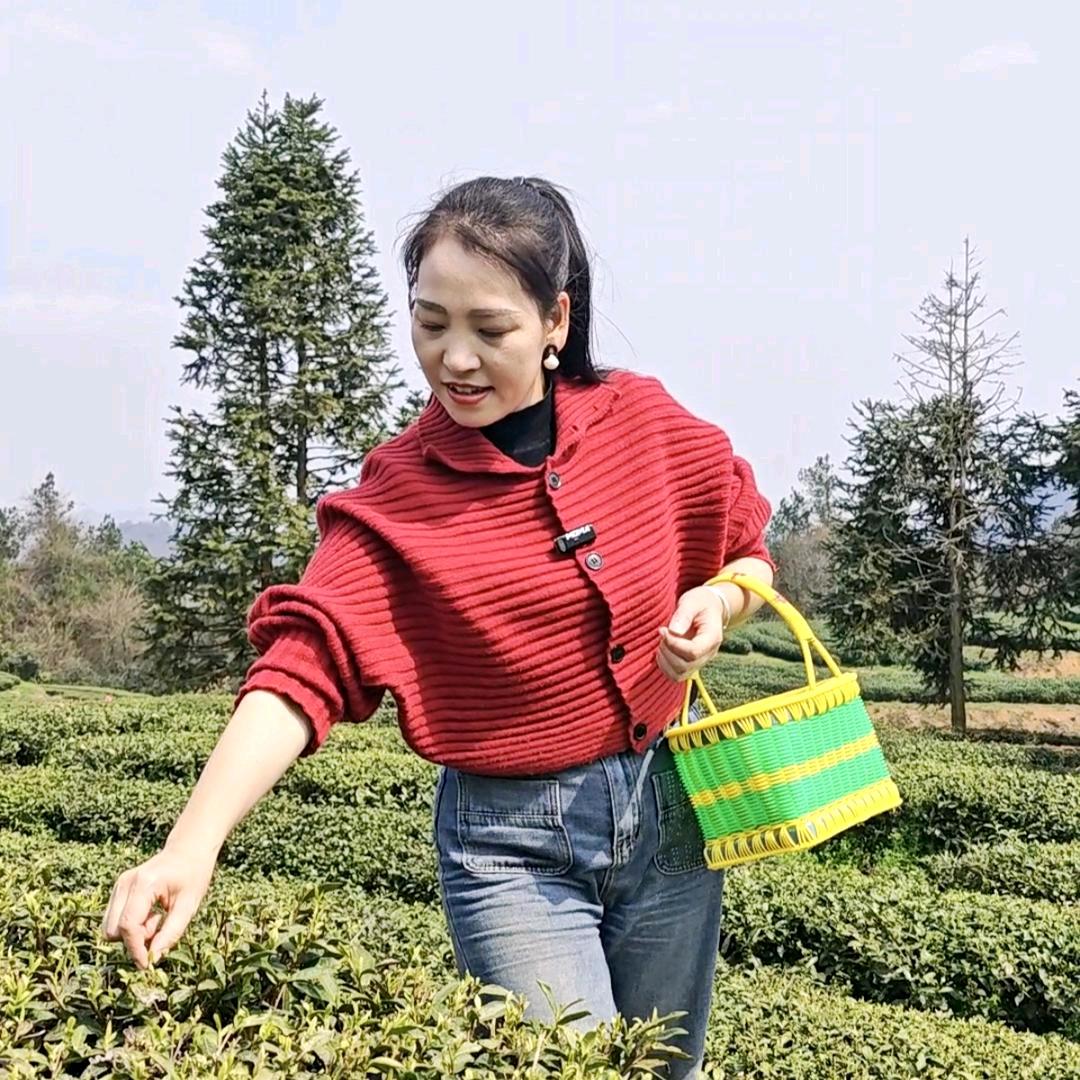 贵州黔都茶业（石阡苔茶）