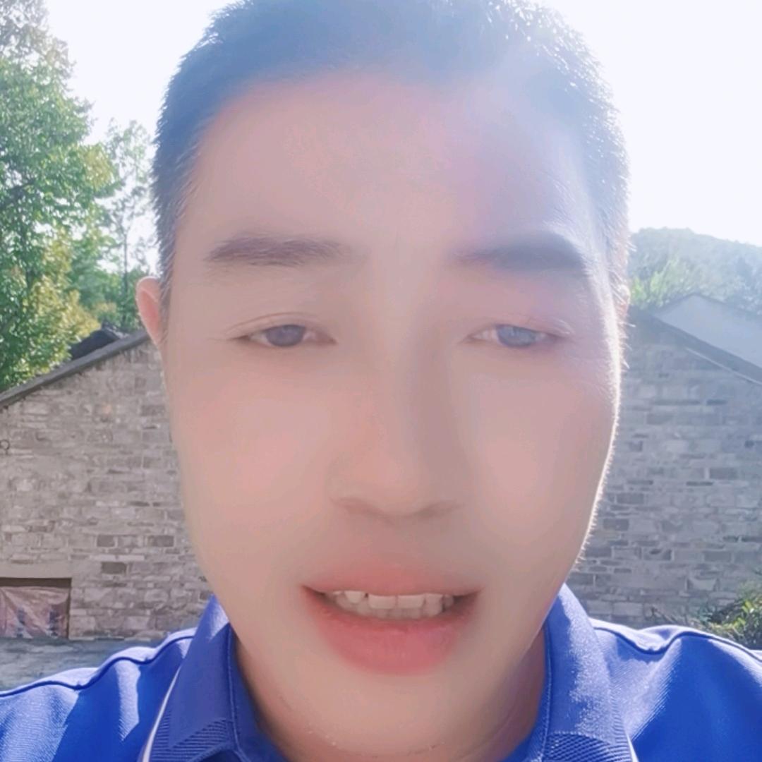 杨氏集团