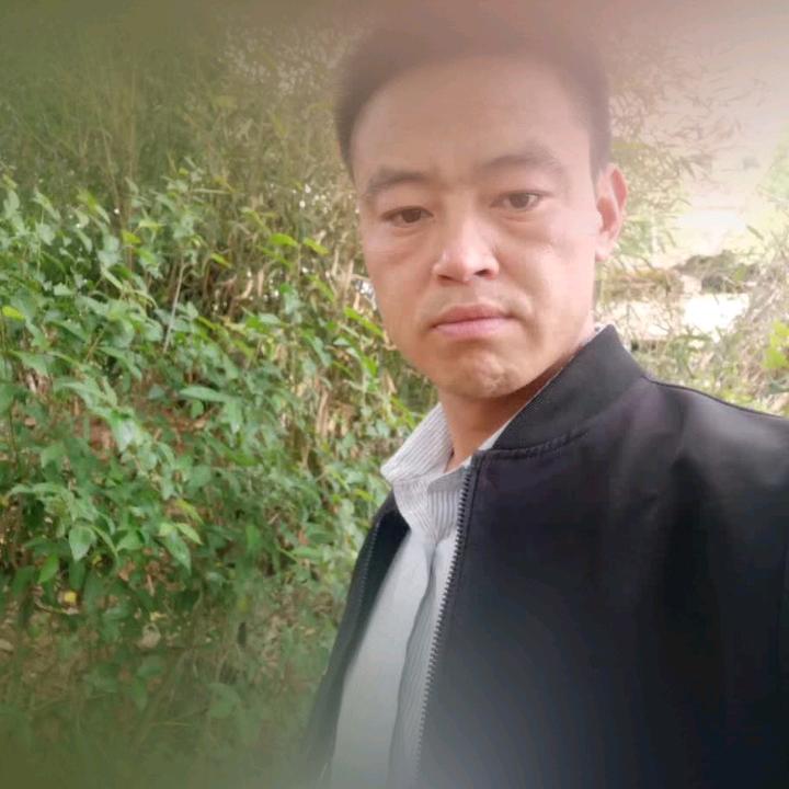 桐  艺