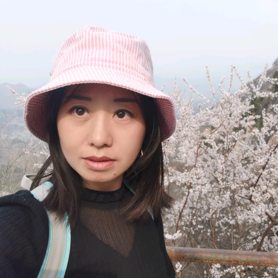 雁子