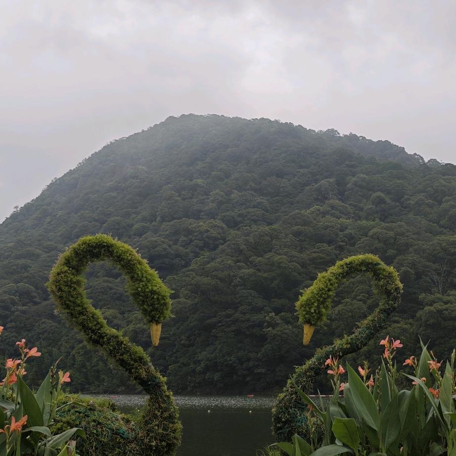 小齐，我来晚了