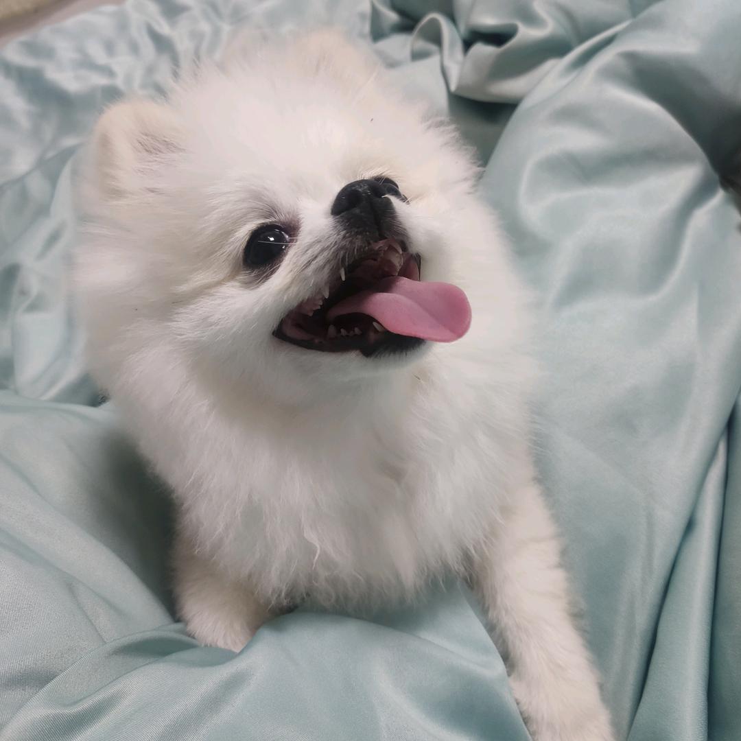 薪亿满满💞
