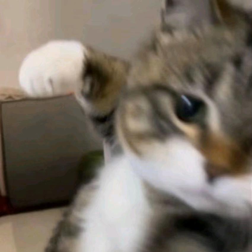 熔岩棉花芝士糖