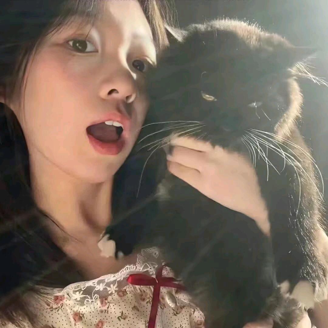 雾巷行