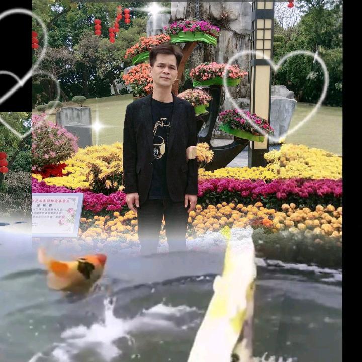 专业汽车调漆