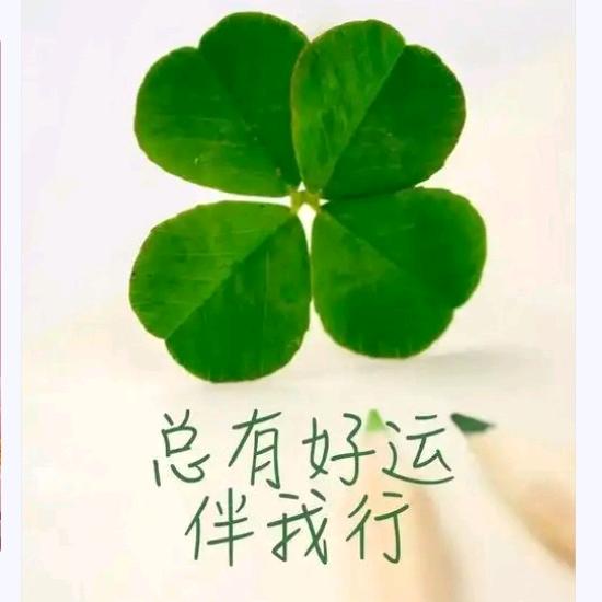 幸运一生 º ꦿ遇见꧔ꦿ