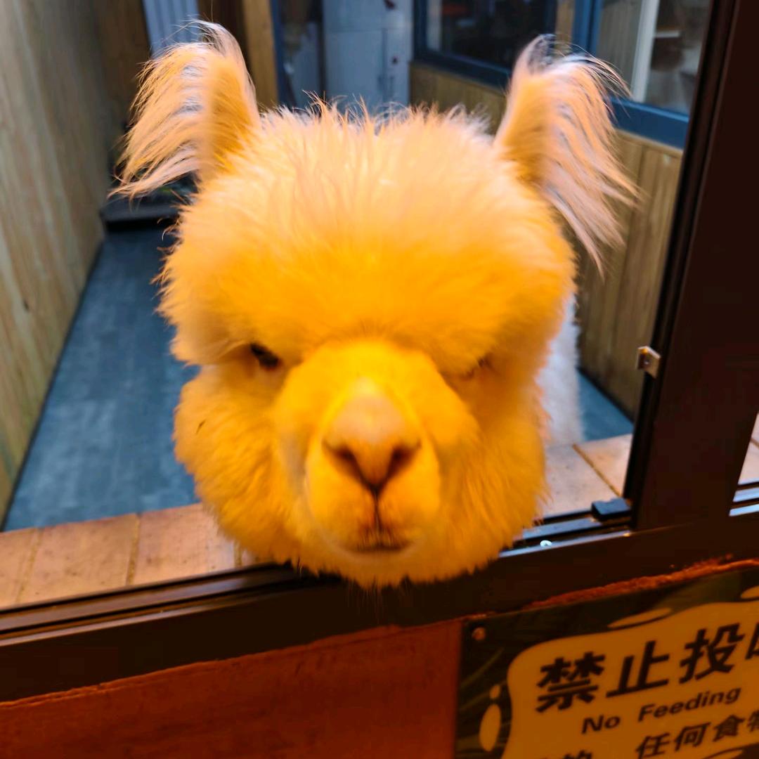 难确