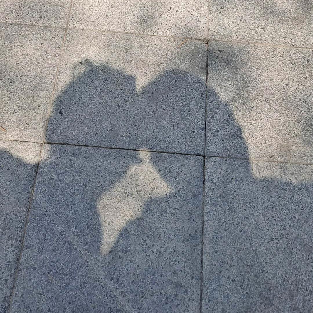 陪小小酥一起长大。（解决问题皮肤）