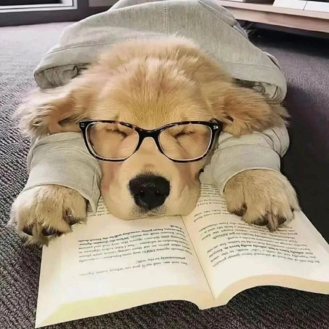 早起一杯灰咖啡