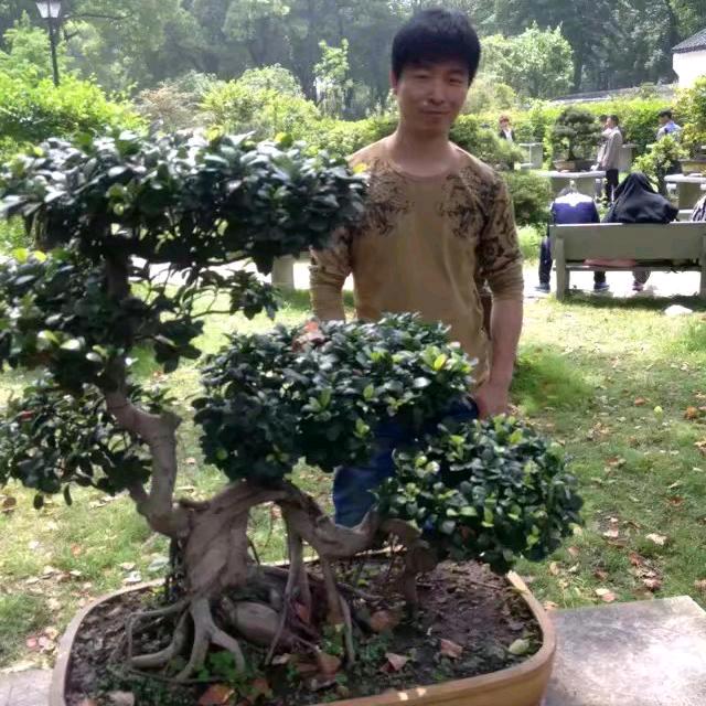 美好的生活