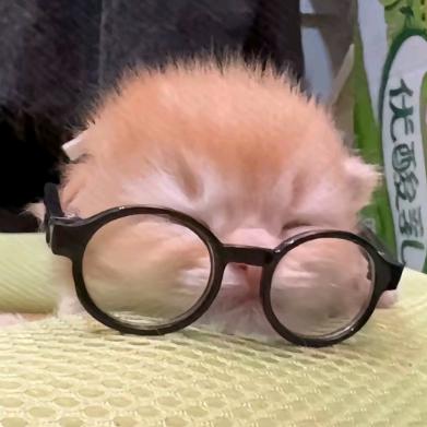 裤兜