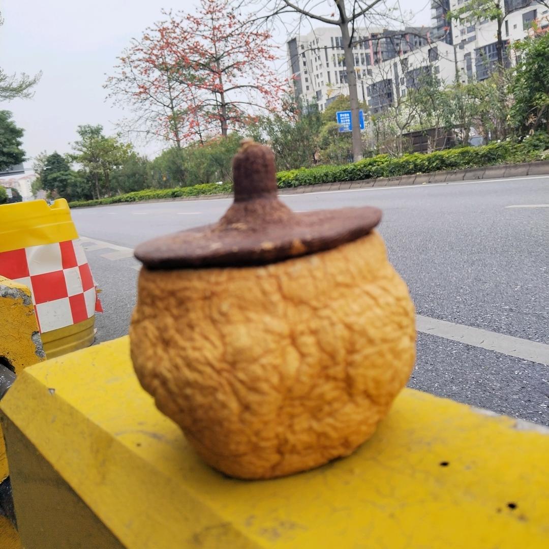 明日再见@