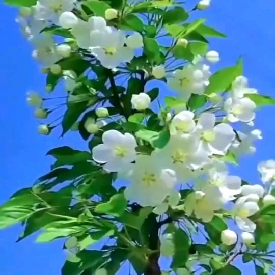 遵义市雪媛内衣，康姐