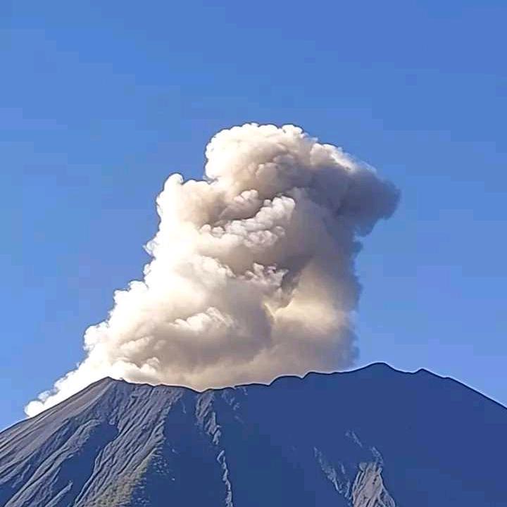 哈哈哈