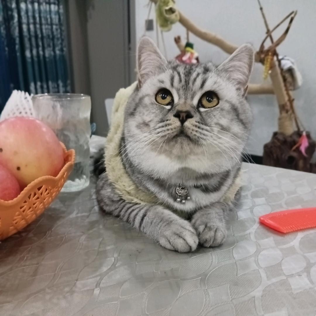 内心的脆弱