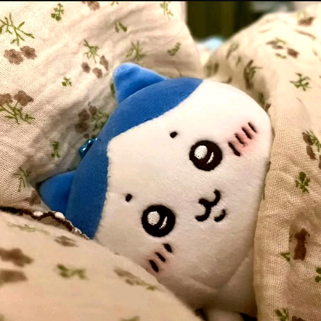 迁临