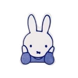 领养一只名叫藤谷直季的猫