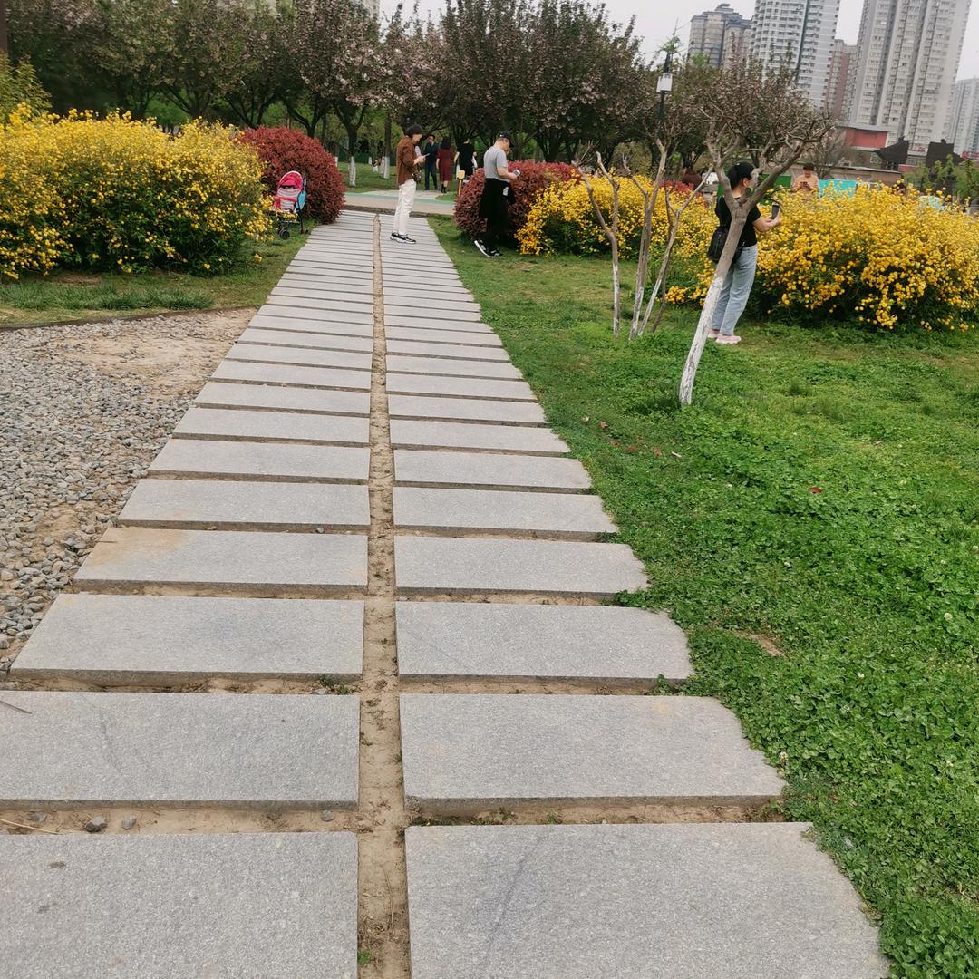 呆在家娱乐娱乐