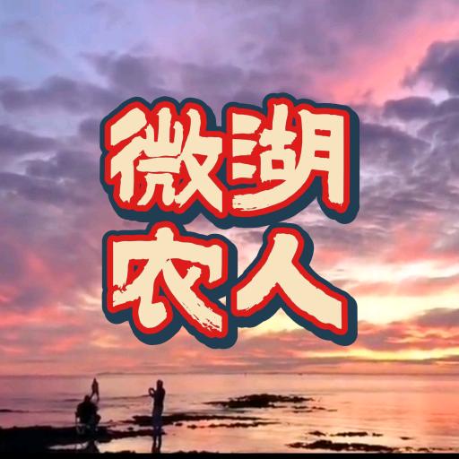微湖农人(助力三农)