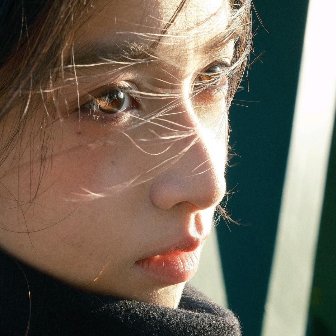 奥本海龟