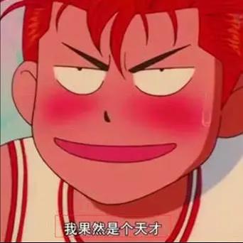 摇头驴