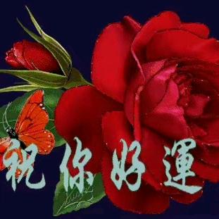 用户（刘幺妹)健康就幸福～快乐🌹🌹
