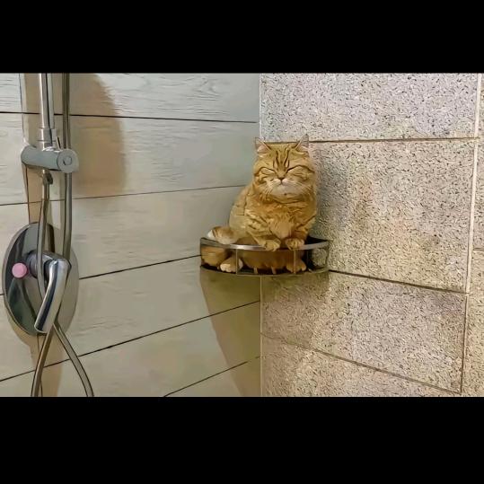 红颜为谁等