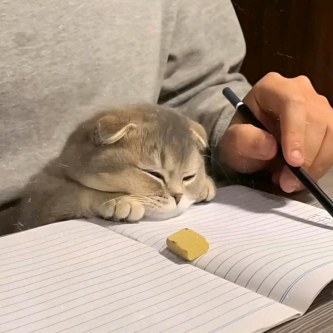 xwfccy