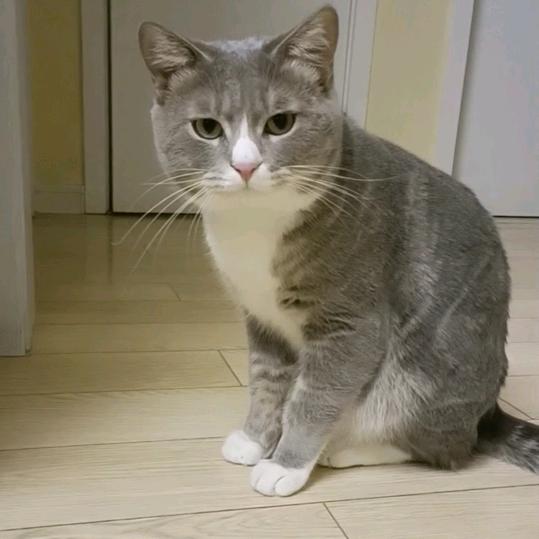 花咪吖