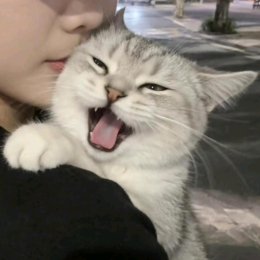 Serena头像