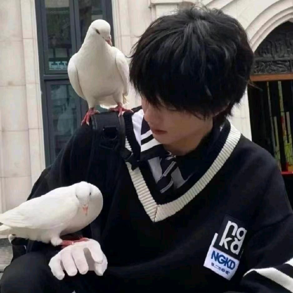秋北先生'