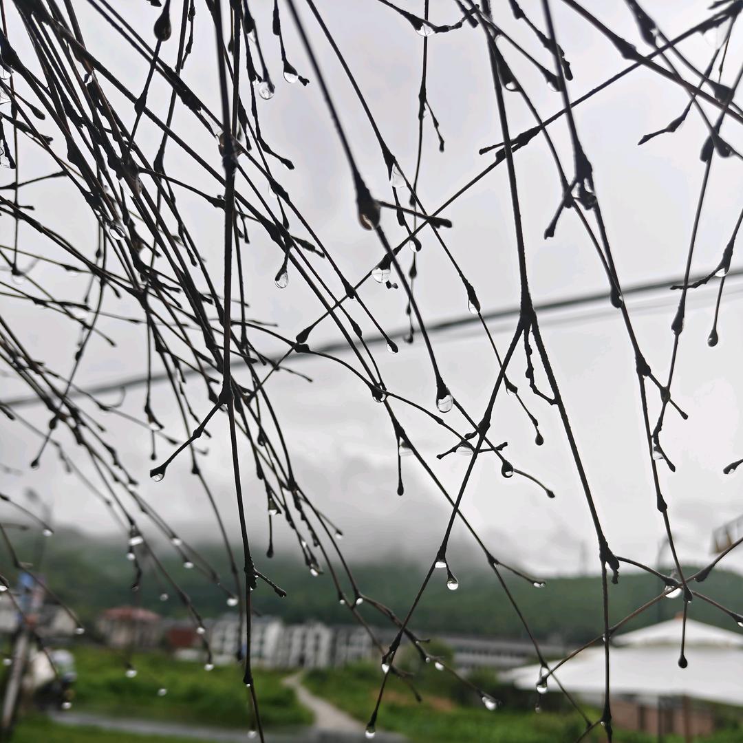 有好地方吗？可飞